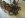 IMG_1019-Optimized.JPG