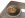 DSCN2580.JPG