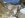 Copy of Mt Whitney 2014 151.jpg