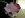 DSCN2821.JPG