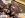 StarterRelaycloseup.jpg