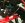 xmember in side view zoomed.jpg