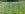 uploadfromtaptalk1403318947461.jpg