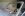 DSC01159.JPG