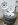 wht whels all.JPG wht whels all.JPG