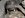 Frt gr ftngs, ujoint, slk 50 011.jpg