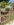 uploadfromtaptalk1405976968853.jpg