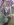 uploadfromtaptalk1405977211369.jpg