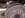 IMG_20140806_103646.jpg