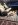 ImageUploadedByTapatalk1410041124.673742.jpg