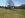 ImageUploadedByTapatalk1410041253.831188.jpg