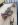 ImageUploadedByTapatalk1411569408.987673.jpg