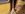 20140928_184948_resized.jpg