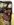 20140928_203326_resized.jpg