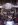 8Dual_Exhaust.jpg