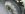 uploadfromtaptalk1413654621013.jpg