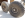 d60&70hd.png