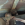 cc7a949b-90d2-4684-9b43-a38001b8804e.png