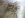 1380494_638086832888695_643331004_n.jpg