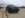 IMG_0739.jpeg