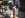 pinion1.JPG