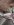 cutout.jpg