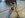 uploadfromtaptalk1417117727168.jpg