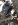 ImageUploadedByTapatalk1418106133.256056.jpg