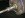 ImageUploadedByTapatalk1418354532.966161.jpg