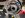 ImageUploadedByTapatalk1418581183.057293.jpg