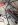 ImageUploadedByTapatalk1418697809.810839.jpg