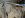 DSCN2313.jpg