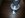 uploadfromtaptalk1419057290441.jpg