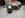 uploadfromtaptalk1419257299796.jpg