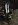 shocks mounted 2.jpg shocks mounted 2.jpg
