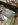 8445C71A-520A-4C3C-B2A8-5C16C4ABD628.jpg