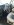 20150314_172112_resized.jpg