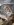 uploadfromtaptalk1431147454264.jpg