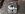 uploadfromtaptalk1431147506741.jpg