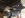 ImageUploadedByTapatalk1434125336.906341.jpg ImageUploadedByTapatalk1434125336.906341.jpg