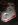 ImageUploadedByTapatalk1434231404.921141.jpg