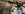uploadfromtaptalk1434648567786.jpg