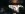 20150622_190106.jpeg
