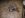 IMGP0183.JPG