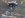 IM000358.JPG IM000358.JPG
