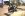 shib front.jpg
