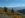 scenery1.jpg
