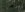 29lily ponds.jpg