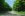 43-Trees.JPG