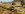 20150711_173405(1)_resized.jpg